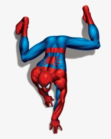 Spiderman Picture Download - Spider Man Vector Png, Transparent Png, Transparent PNG