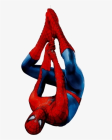 Spider-man Portable Network Graphics Clip Art Image - Spiderman Upside Down, HD Png Download, Transparent PNG
