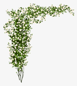 Arrangement, Flowers, Green, Small Flower - Rose Bush Png, Transparent Png, Transparent PNG