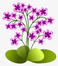 Small Flowers - Small Flower Plants Clipart, HD Png Download, Transparent PNG