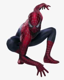 Real Spiderman, HD Png Download, Transparent PNG