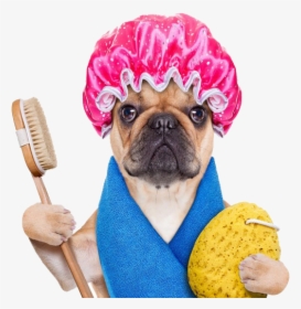 Cute Towel Funny Personnel Dog Bath Hot Clipart - Dog Having A Shower, HD Png Download, Transparent PNG