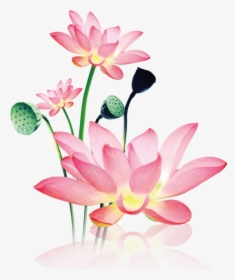Hand Painted Decorative Free Png Download - Lotus Png, Transparent Png, Transparent PNG