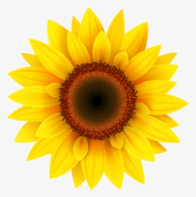 Sunflower Png, Transparent Png, Transparent PNG