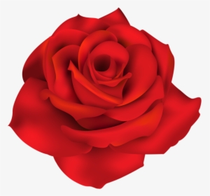 Rose Png - Transparent Single Flowers Png, Png Download, Transparent PNG