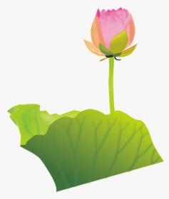 Lotus Clipart Australian Flower - Clip Art, HD Png Download, Transparent PNG