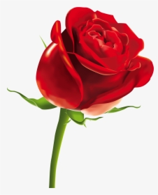 Rose Png Picture - Valentines Day Rose, Transparent Png, Transparent PNG
