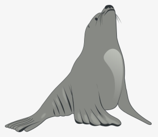 Valessiobrito Sea Lion Svg Clip Arts - Sea Lion Clipart, HD Png Download, Transparent PNG