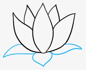 How To Draw Lotus Flower - Sacred Lotus, HD Png Download, Transparent PNG