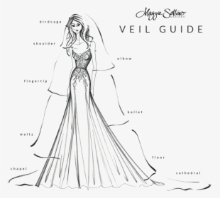 Picking The Length Of Veil, HD Png Download, Transparent PNG