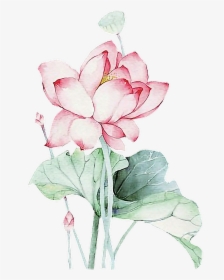#lotus #flower #chinese #asian #ftestickers - Lotus Flower Chinese, HD Png Download, Transparent PNG