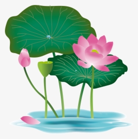 Transparent Pink Lotus Flower Clipart - Lotus Flower Vector Png, Png Download, Transparent PNG