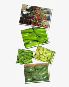 Productsides-peppers - Snap Pea, HD Png Download, Transparent PNG