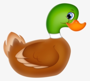 Mallard Duck * Mc Donalds, Quack Quack, Cute Images, - Kačka Png, Transparent Png, Transparent PNG