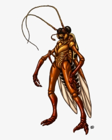 Transparent Cockroach Clipart - Roach Drawing, HD Png Download, Transparent PNG