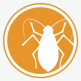 Icon Of A Roach - Pest Icons, HD Png Download, Transparent PNG