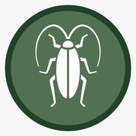 Cockroach Icon-02 - Sims 4 Mosquito Stuff Pack, HD Png Download, Transparent PNG