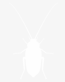 Roaches-white - High Resolution Suits Png, Transparent Png, Transparent PNG