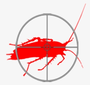 Circle, HD Png Download, Transparent PNG