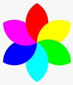 Simple Clip Art 6 Medium Size - Flower Color Wheel Drawing, HD Png Download, Transparent PNG