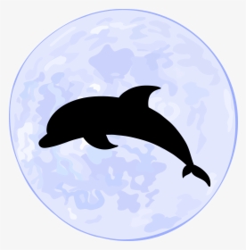 Supermoon Euclidean Vector Oceanic Dolphin Illustration - Euclidean Vector, HD Png Download, Transparent PNG