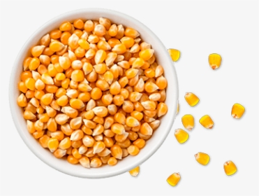 Kernels In A Bowl, HD Png Download, Transparent PNG