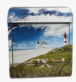 Transparent Sea Gull Png - Briefkasten Mit Motiv, Png Download, Transparent PNG