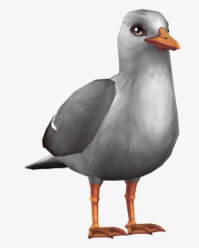 Star Stable , Png Download - Laughing Gull, Transparent Png, Transparent PNG