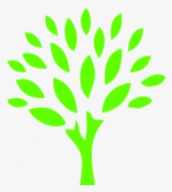 Tree - Go Green Auto Spa, HD Png Download, Transparent PNG