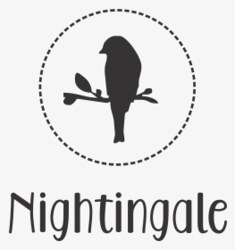 Nightingale - Laundry Icons, HD Png Download, Transparent PNG