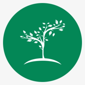 Ecological Foundations - True Blue Tree Service, HD Png Download, Transparent PNG