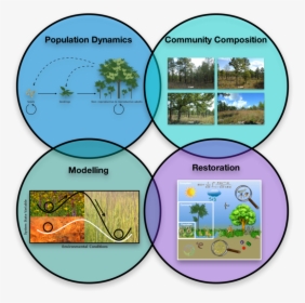 Community Dynamics In Ecology, HD Png Download, Transparent PNG