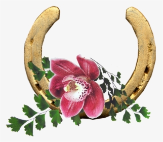 Lucky Flower Of Horse, HD Png Download, Transparent PNG