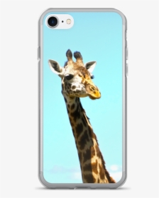 Iphone 7 Mgk Case, HD Png Download, Transparent PNG