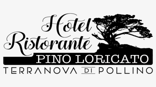 Hotel Pino Loricato - Tree, HD Png Download, Transparent PNG
