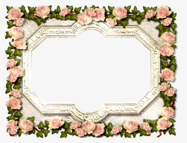 Collage Frames Png, Transparent Png, Transparent PNG