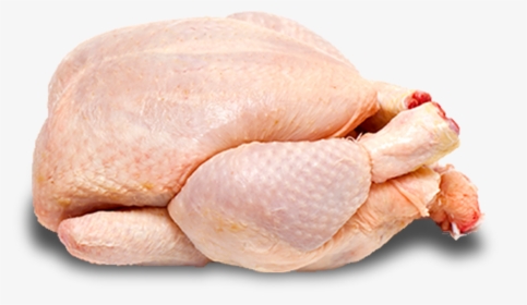 Daily Fresh Suguna Chicken, HD Png Download , Transparent Png Image -  PNGitem