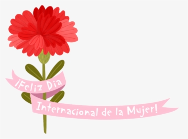 Gerbera, HD Png Download, Transparent PNG