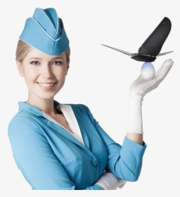 Flight Attendants In Transparent Backgrounds, HD Png Download, Transparent PNG