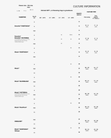 Document, HD Png Download, Transparent PNG