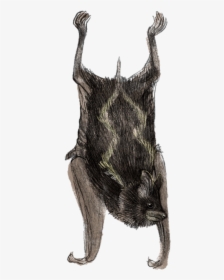 Boar, HD Png Download, Transparent PNG