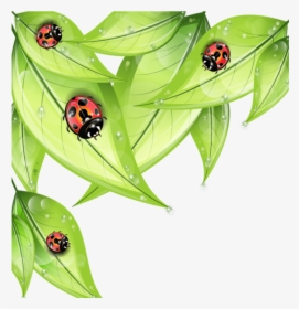 #mq #leaf #leaves #ladybug #ladybugs - Cartoon Bug On A Leaf, HD Png Download, Transparent PNG