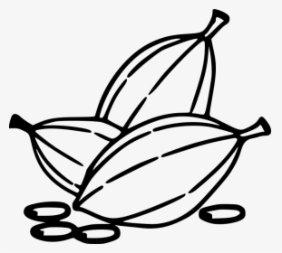 Cocoa Beans - Cocoa Clipart Black And White, HD Png Download, Transparent PNG