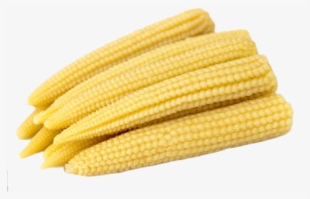 Small Corn, HD Png Download, Transparent PNG