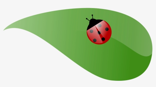 Lady Beetle Clipart Leaf - Lady Bug Leaf Clip Art, HD Png Download, Transparent PNG