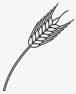File Coa Illustration Elements Plant Svg Wikimedia - Heraldic Wheat Png, Transparent Png, Transparent PNG