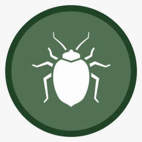 Bedbug Icon-02 - Health Dangers, HD Png Download, Transparent PNG