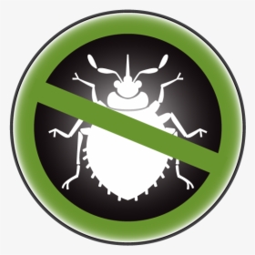 Bed Bugs Treatment Logo, HD Png Download, Transparent PNG