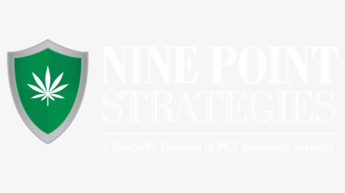 Nine Point Strategies - Flag, HD Png Download, Transparent PNG