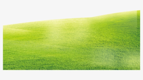 Transparent Grass Background Png - Lawn, Png Download, Transparent PNG